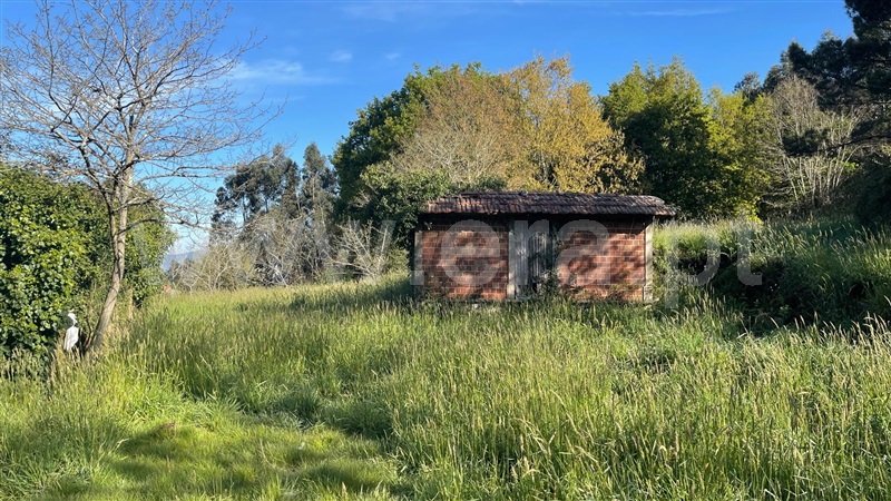 Terreno para Construção  Valença, Fontoura - 1160673 - 2