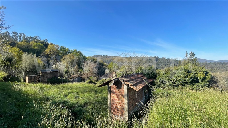 Terreno para Construção  Valença, Fontoura - 1160673 - 3
