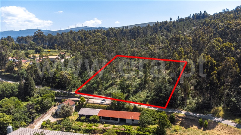 Terreno para Construção / Valença, Fontoura