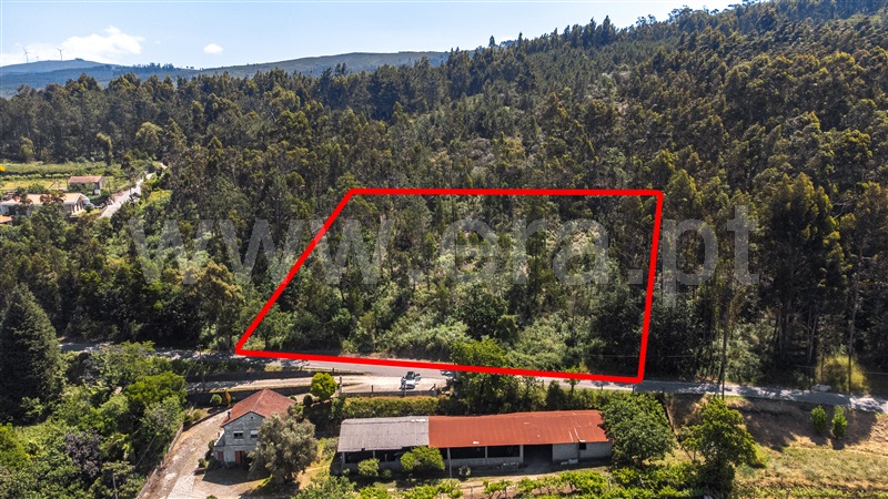 Terreno  Valença, Fontoura - 1334026 - 3