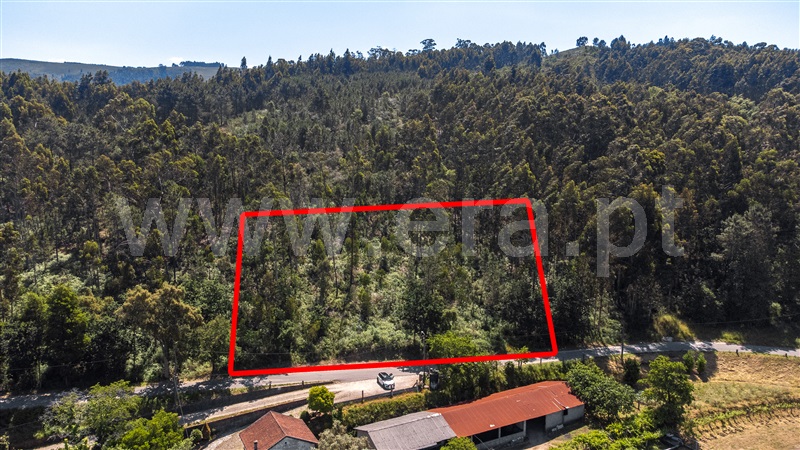 Terreno  Valença, Fontoura - 1334026 - 4