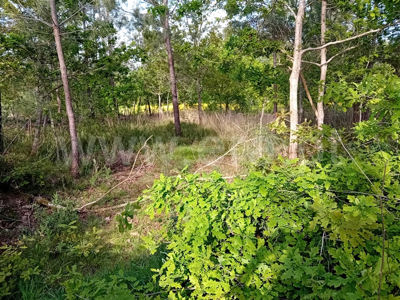 Terreno  Valença, Fontoura - 1399078 - 1