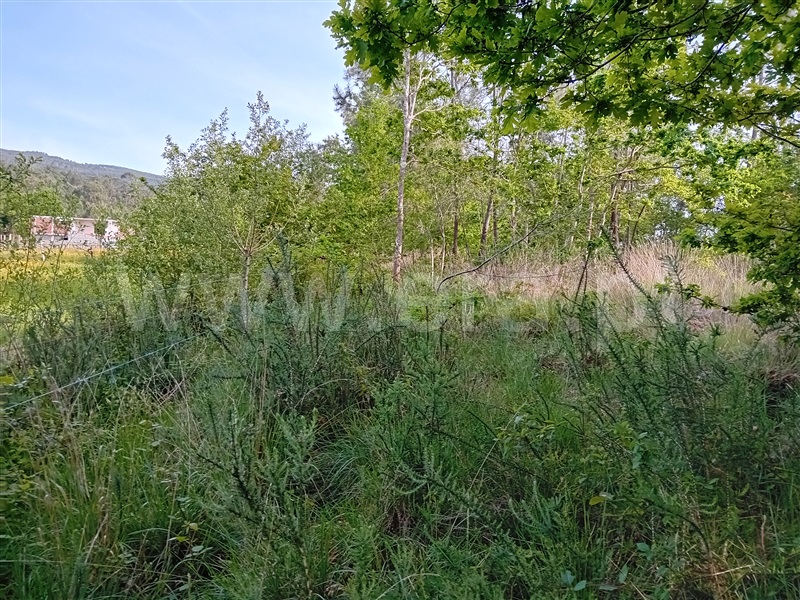 Terreno  Valença, Fontoura - 1399078 - 4