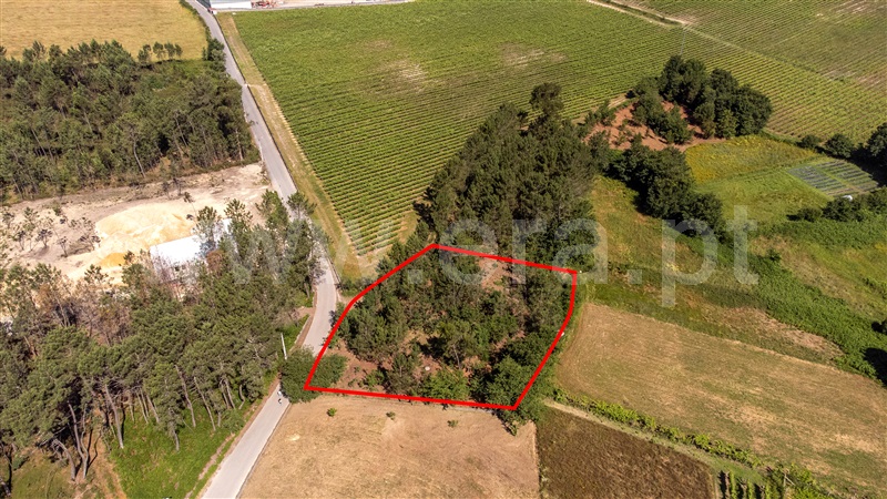 Terreno  com Urbano Valença, Fontoura - 1399078 - 20