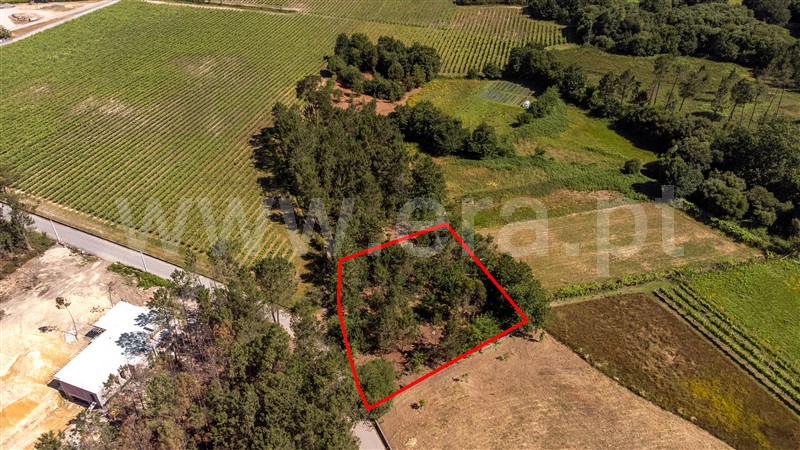 Terreno  com Urbano Valença, Fontoura - 1399078 - 21