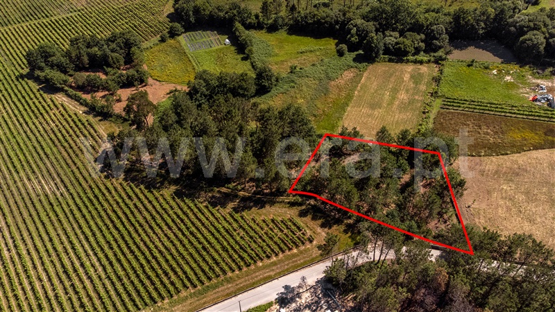 Terreno  com Urbano Valença, Fontoura - 1399078 - 22