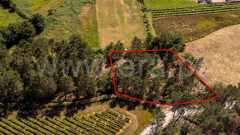 Terreno  com Urbano Valença, Fontoura - 1399078 - 23