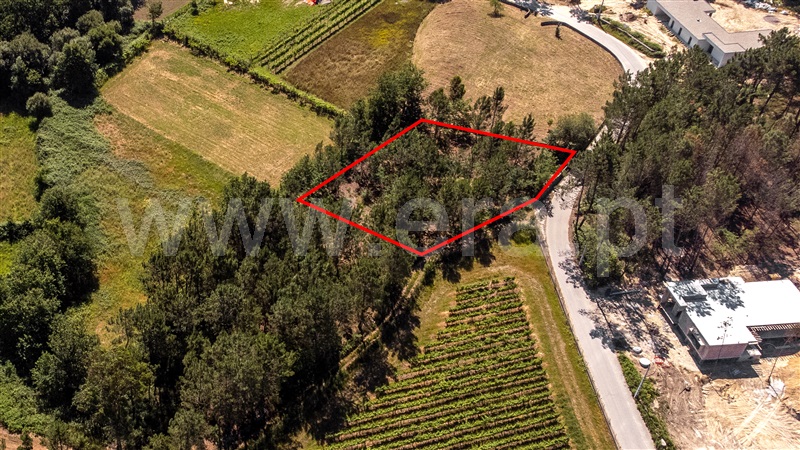 Terreno  com Urbano Valença, Fontoura - 1399078 - 24