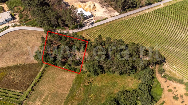 Terreno para Construção / Valença, Fontoura