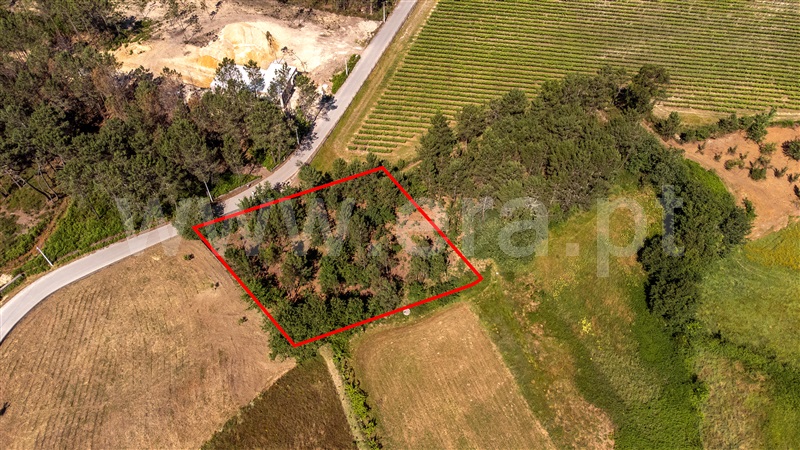 Terreno  com Urbano Valença, Fontoura - 1399078 - 27