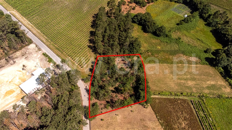 Terreno  com Urbano Valença, Fontoura - 1399078 - 28