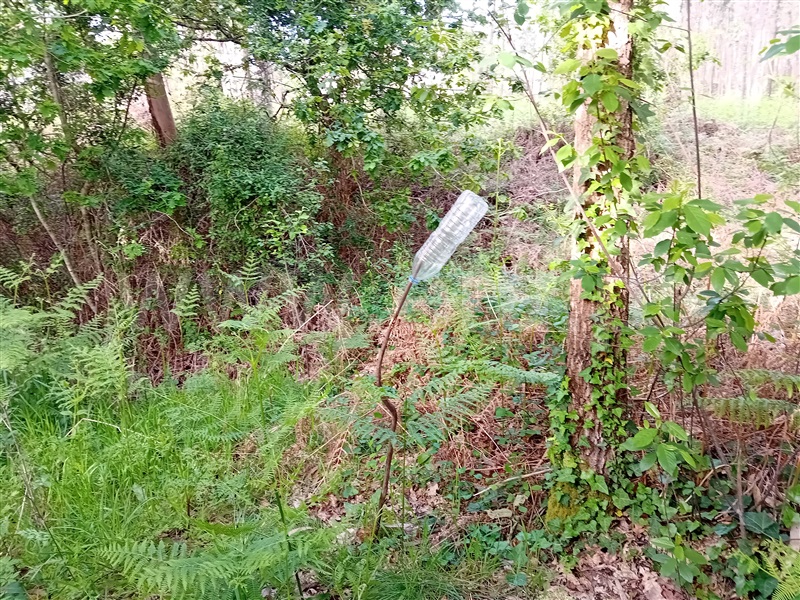 Terreno  Valença, Fontoura - 1399080 - 2