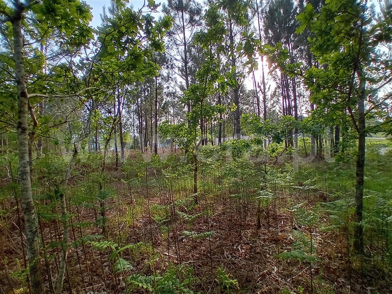 Terreno  Valença, Fontoura - 1399080 - 6