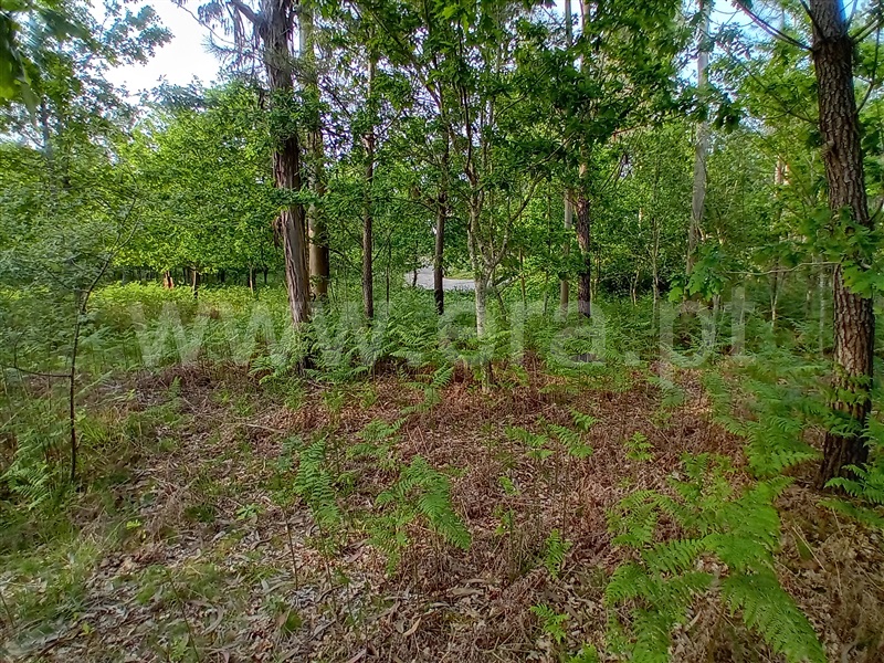 Terreno  Valença, Fontoura - 1399080 - 7