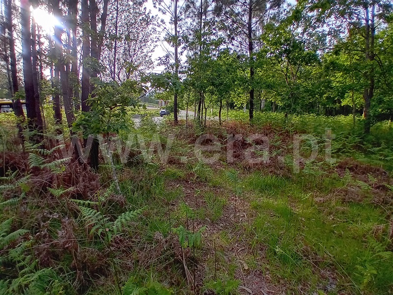 Terreno  Valença, Fontoura - 1399080 - 9