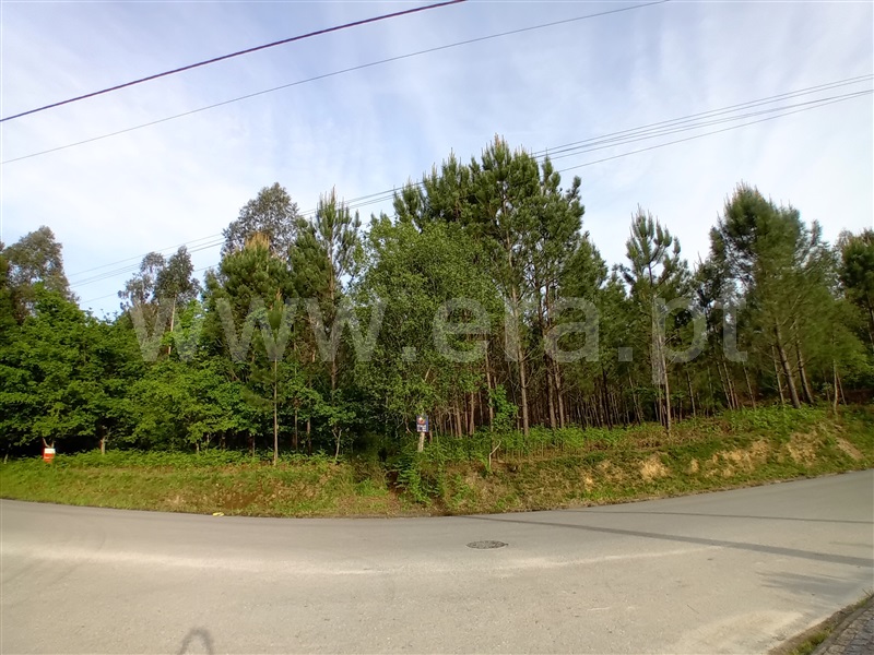 Terreno  Valença, Fontoura - 1399080 - 14