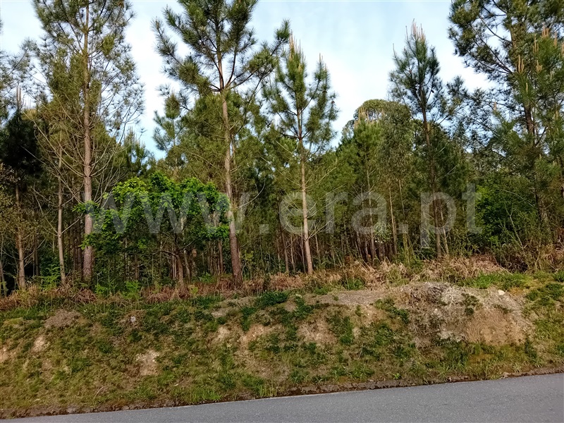 Terreno  Valença, Fontoura - 1399080 - 16