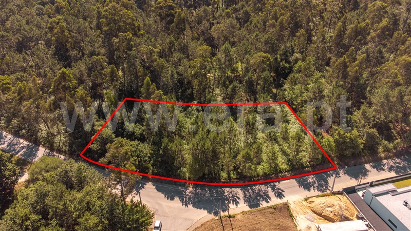 Terreno para Construção / Valença, Fontoura