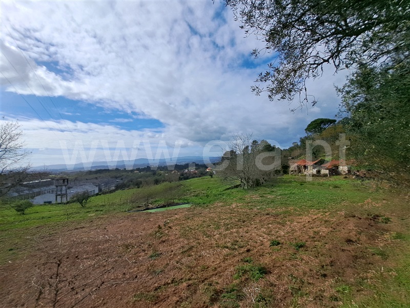 Terreno para Construção / Valença, Gandra e Taião