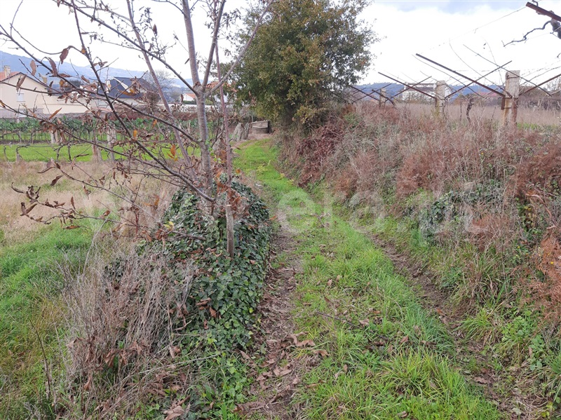 Terreno para Construção  Valença, Zona Campo - 1214958 - 10
