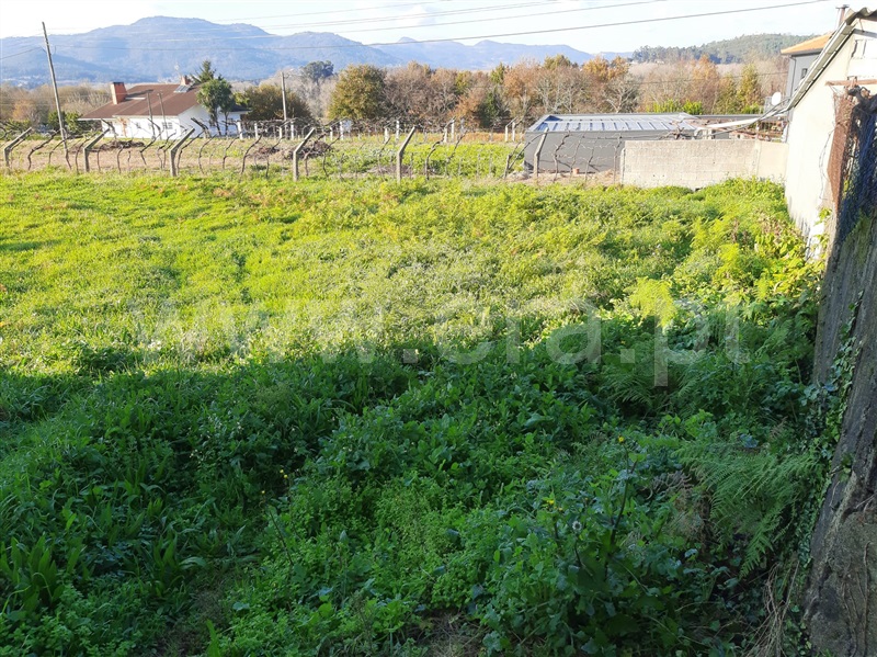 Terreno para Construção  Valença, Zona Campo - 1215587 - 3