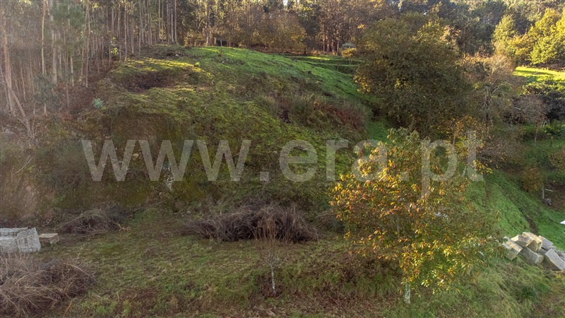 Terreno para Construção  Valença, São Julião e Silva - 1446259 - 15