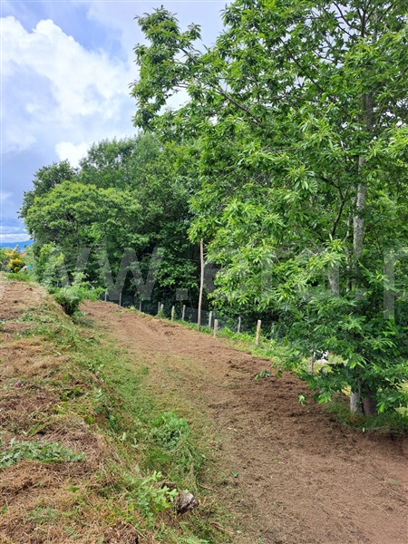 Terreno  Valença, São Julião e Silva - 1465643 - 6
