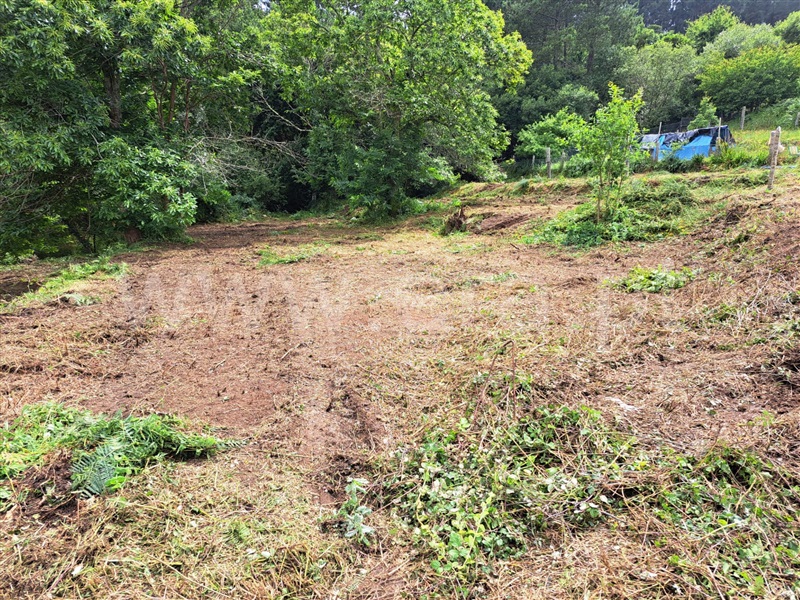 Terreno  Valença, São Julião e Silva - 1465643 - 7