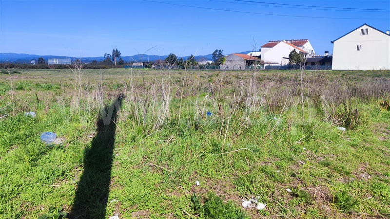 Terreno Rústico  Valença, Valença, Cristelo Covo e Arão - 1316335 - 2
