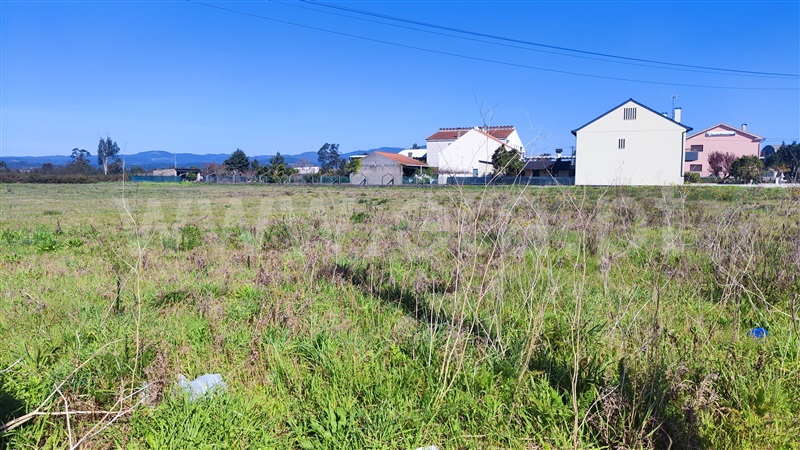Terreno Rústico  Valença, Valença, Cristelo Covo e Arão - 1316335 - 3