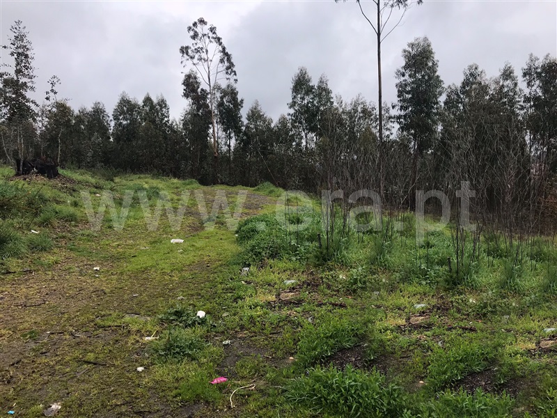 Terreno para Construção  Valongo, Alfena - 903462 - 2