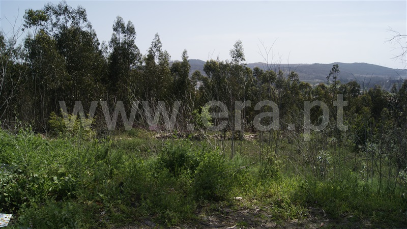 Terreno para Construção  Valongo, Alfena - 903462 - 3