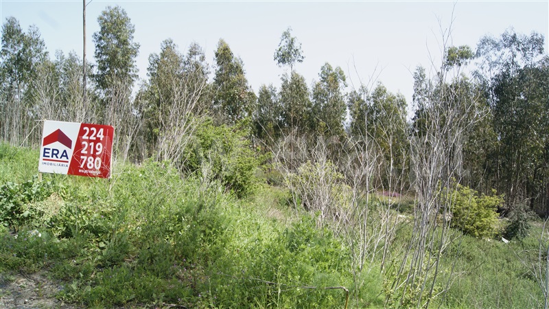 Terreno para Construção  Valongo, Alfena - 903462 - 5