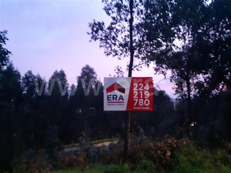 Terreno para Construção  com Rústico Valongo, Campo e Sobrado - 1373816 - 2