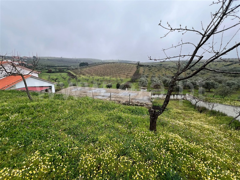 Terreno para Construção / Valpaços, Água Revés e Crasto