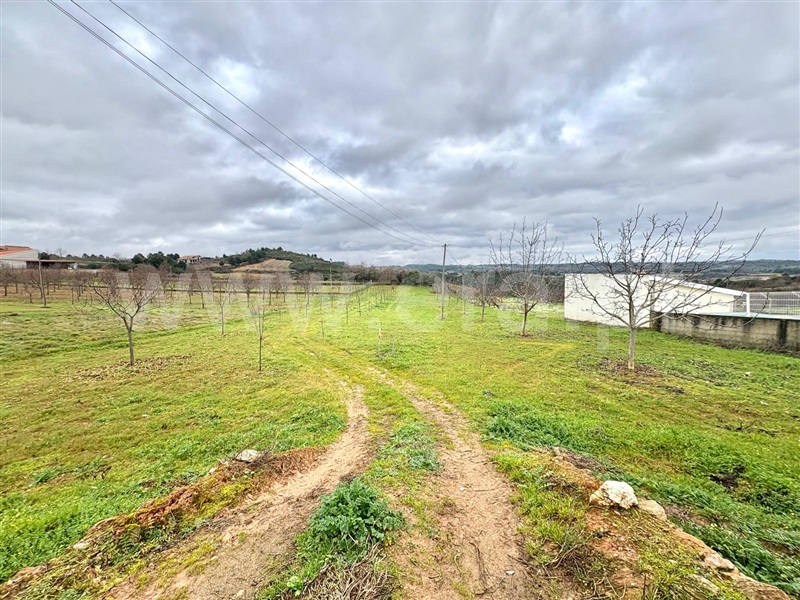 Terreno para Construção / Valpaços, Alpande