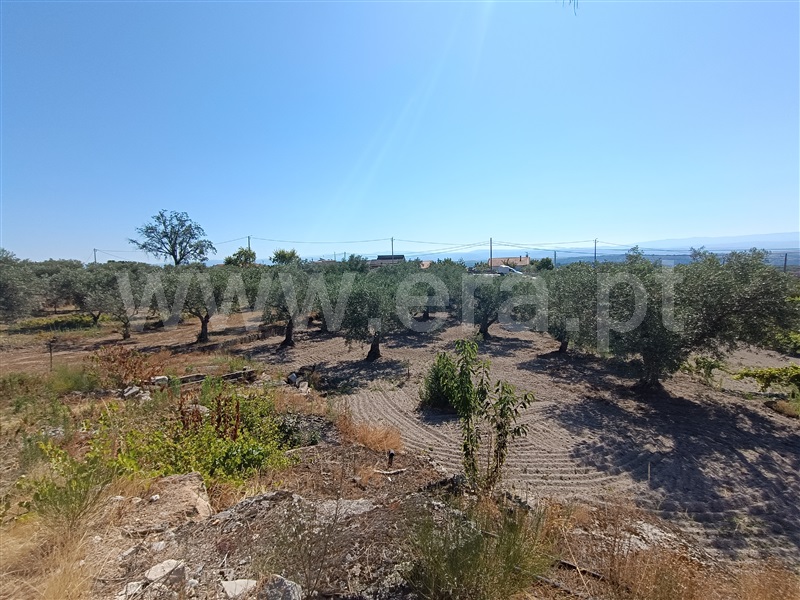 Terreno para Construção  Valpaços, Possacos - 1418622 - 5
