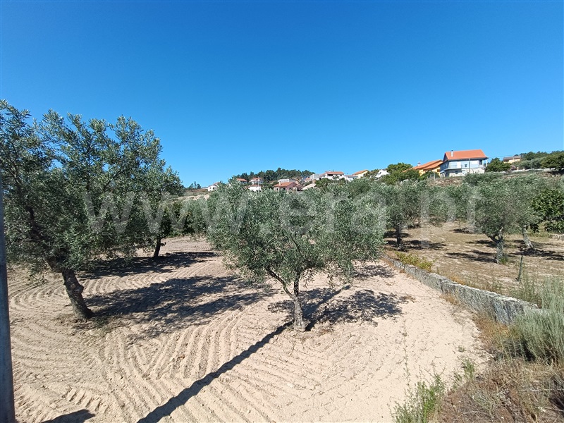 Terreno para Construção  Valpaços, Possacos - 1418622 - 8