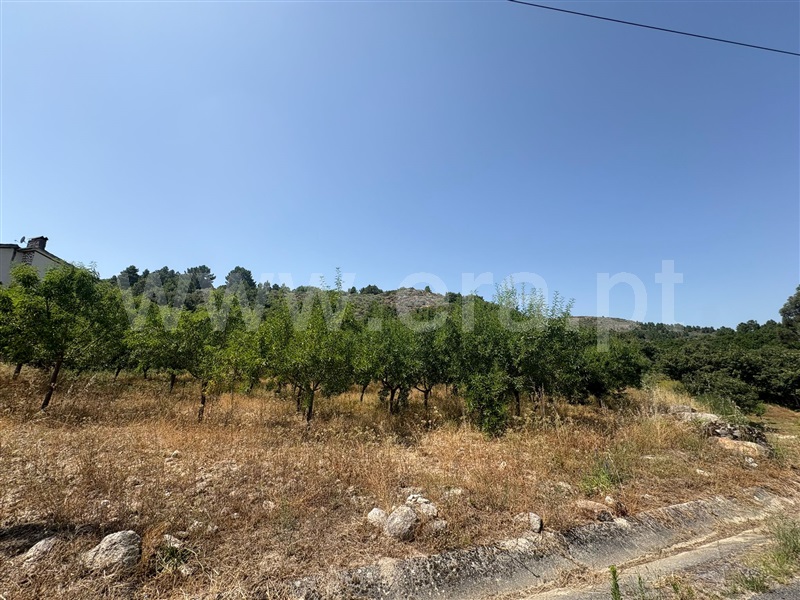 Terreno para Construção / Valpaços, Sonim e Barreiros