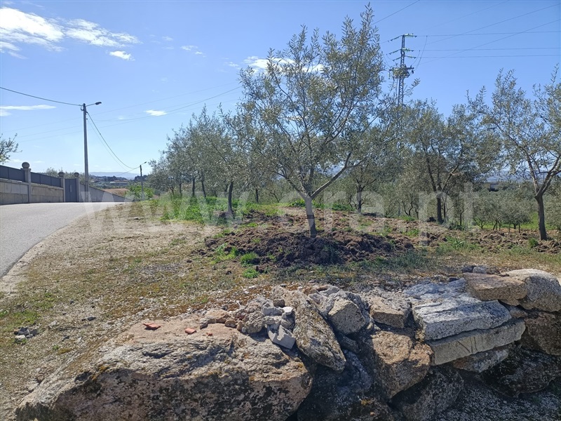 Terreno para Construção  Valpaços, Valpaços e Sanfins - 1391204 - 8