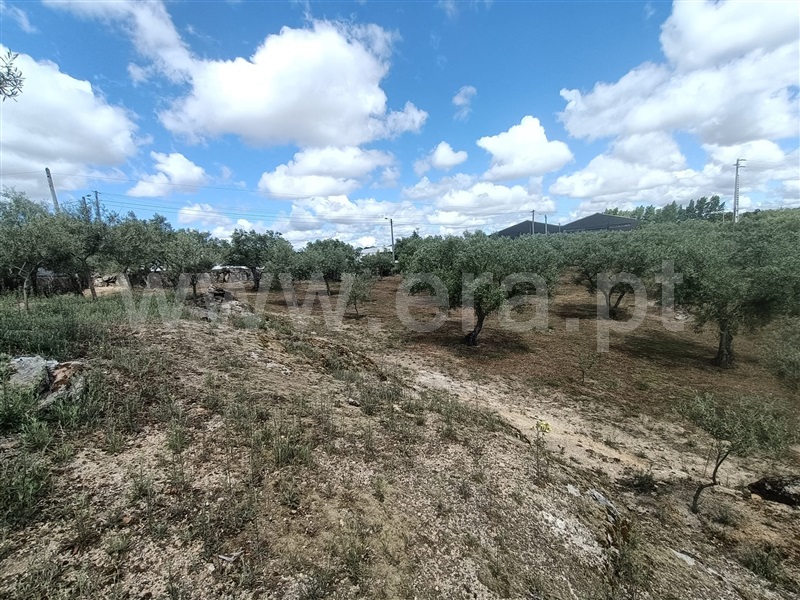 Terreno para Construção  Valpaços, Valpaços e Sanfins - 1391204 - 6