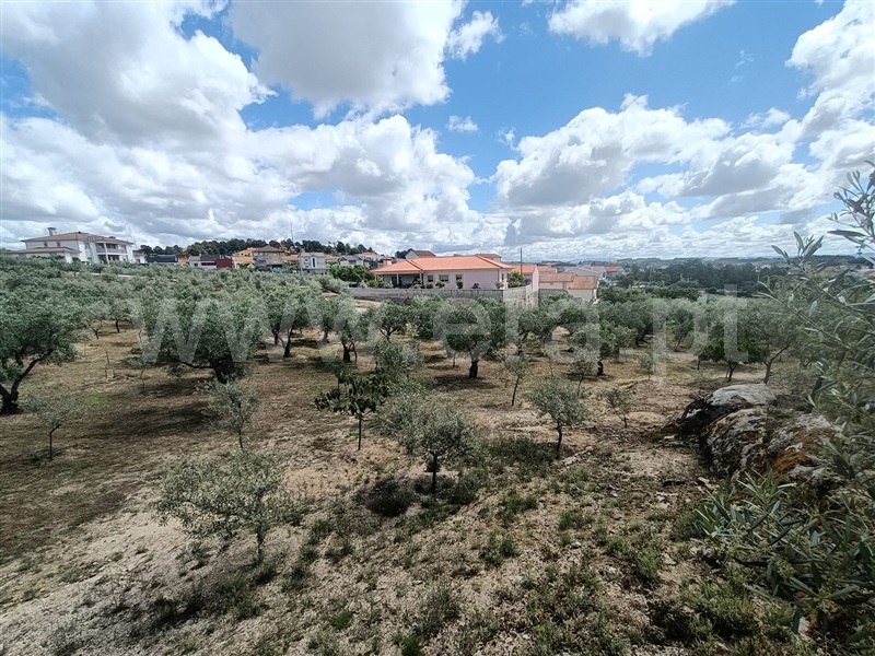 Terreno para Construção  Valpaços, Valpaços e Sanfins - 1391204 - 7