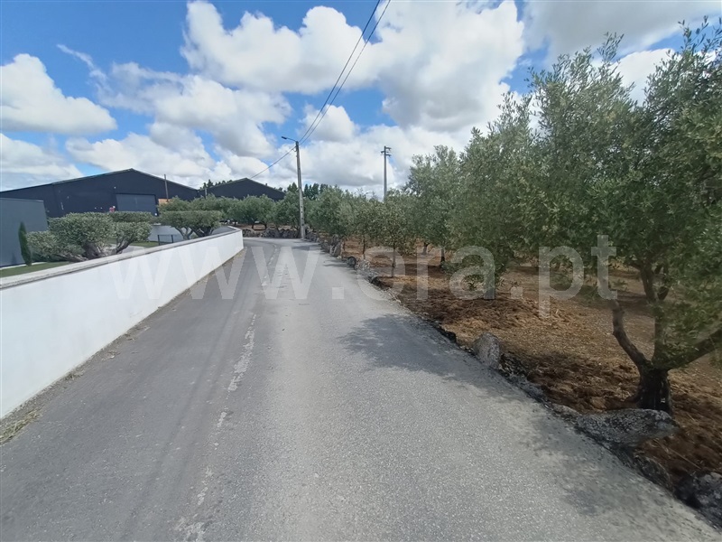 Terreno para Construção  Valpaços, Valpaços e Sanfins - 1391204 - 10