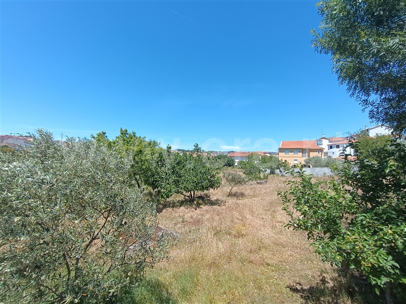Terreno para Construção  Valpaços, Valpaços e Sanfins - 1404819 - 4