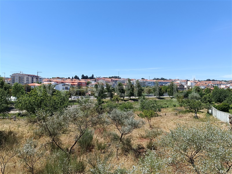 Terreno para Construção  Valpaços, Valpaços e Sanfins - 1404819 - 7