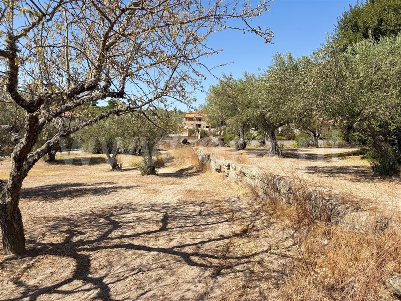 Terreno para Construção  com Urbano Valpaços, Valpaços e Sanfins - 1506831 - 10