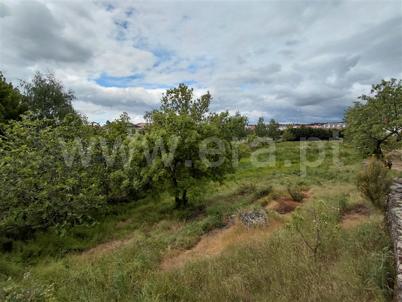 Terreno para Construção / Valpaços, Valpaços e Sanfins