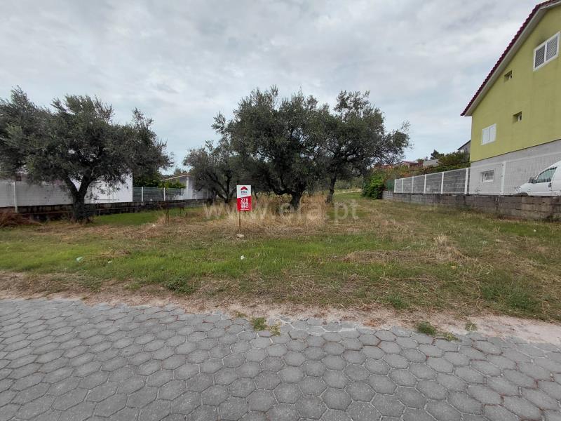 Terreno para Construção / Valpaços, Valpaços e Sanfins