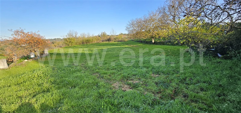 Terreno para Construção  com Rústico Valpaços, Vilarandelo - 1429098 - 4