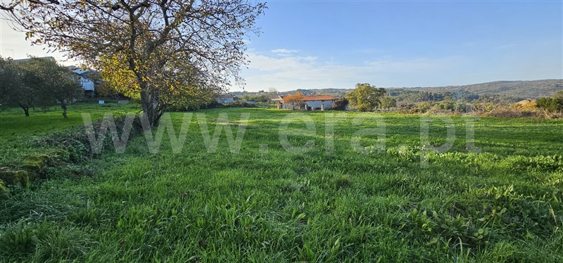 Terreno para Construção  com Rústico Valpaços, Vilarandelo - 1429098 - 10